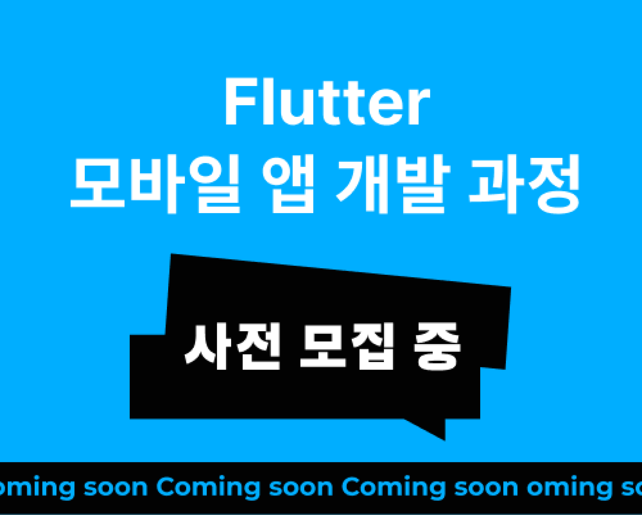 Flutter 모바일 앱 개발 과정